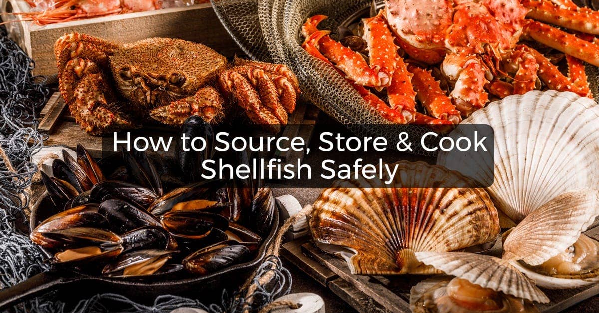 shellfish-safety-guide-how-to-source-store-and-cook-them-safely