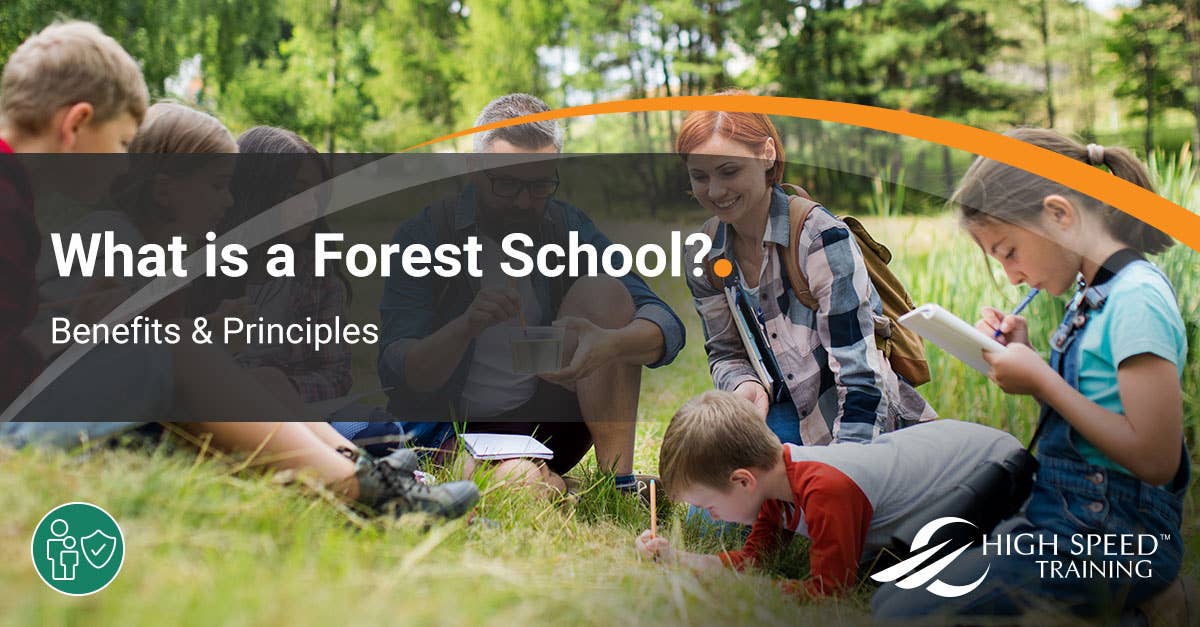 What is a Forest School? | Benefits & Key Principles