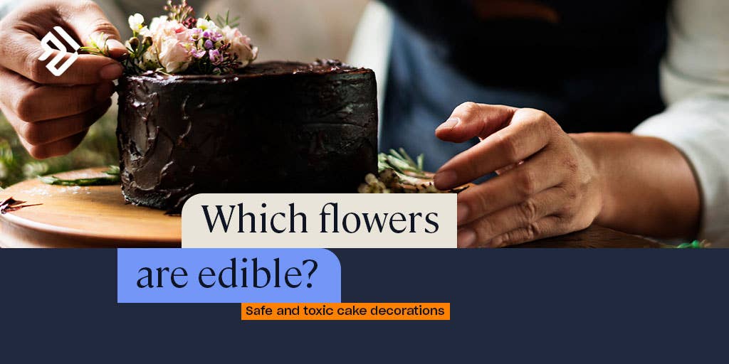 Lemon Sponge Cake with Edible Flowers - tastebotanical