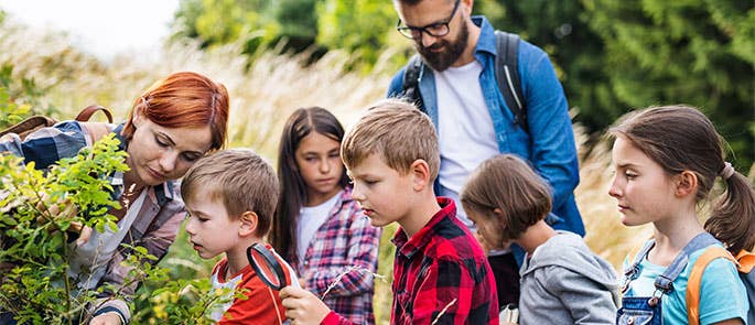 Children on a school trip