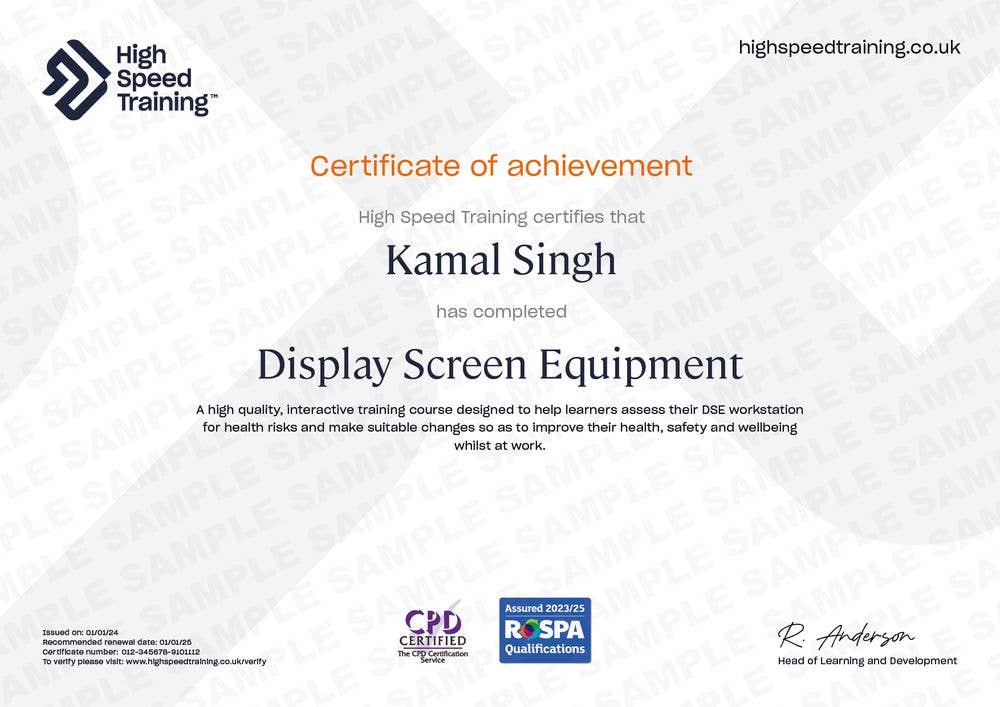 Sample Display Screen Equipment (DSE) Certificate