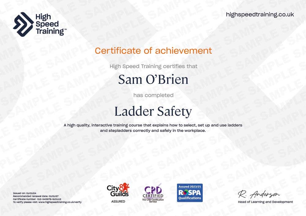 Ladder-Safety-Screenshot-Certificate