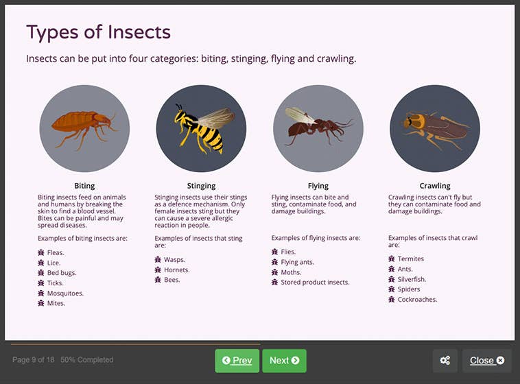 Course screenshot showing different types of insects